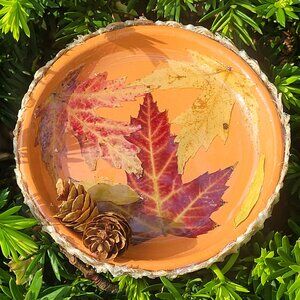 Jewelry Trinket Dish with Real Autumn Leaves - Handmade